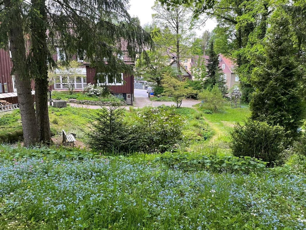 Liebevoll Eingerichtetes Ferienhaus Mit Grossem Garten Clausthal-Zellerfeld Buitenkant foto