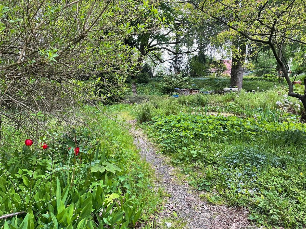 Liebevoll Eingerichtetes Ferienhaus Mit Grossem Garten Clausthal-Zellerfeld Buitenkant foto