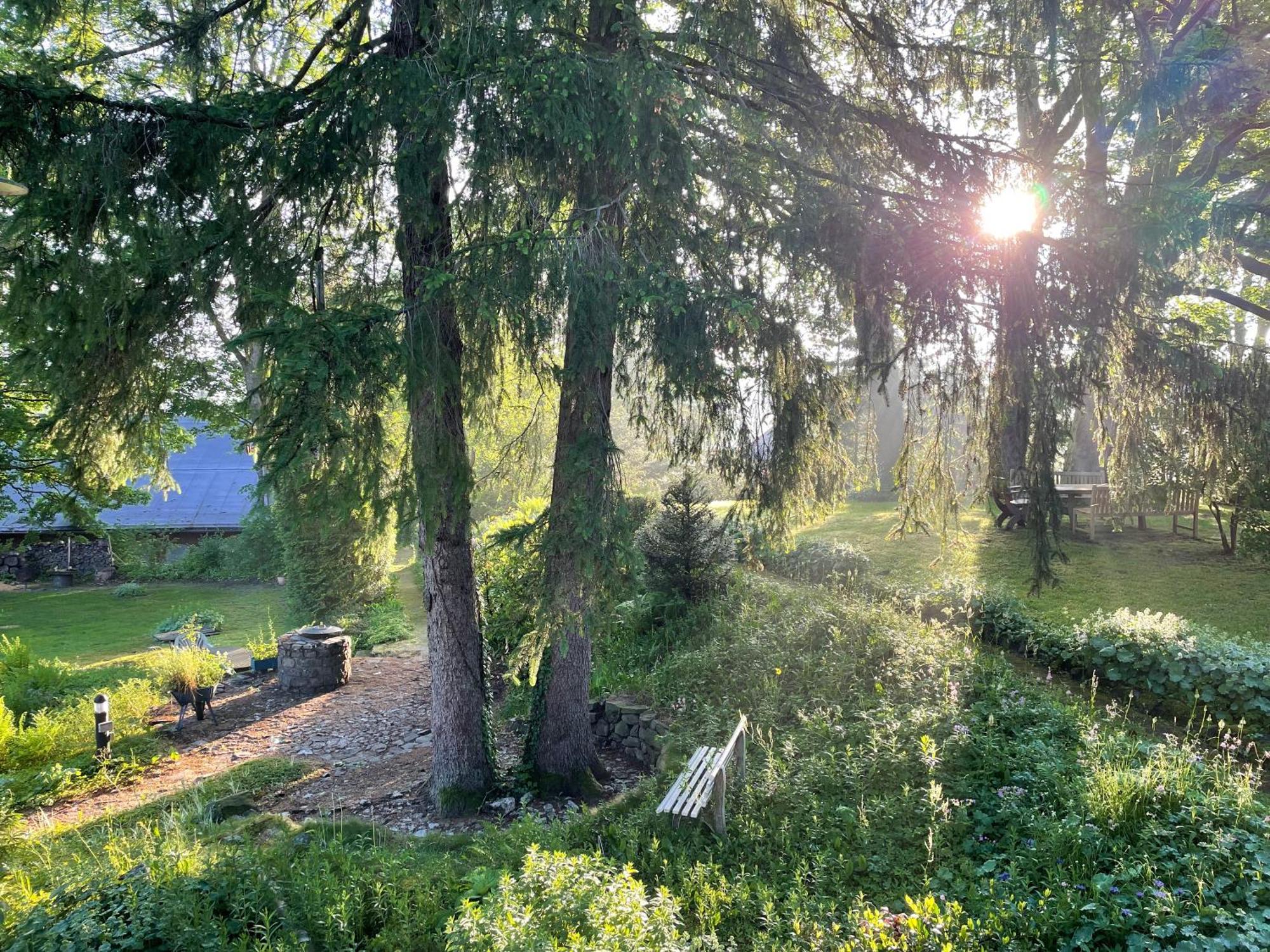 Liebevoll Eingerichtetes Ferienhaus Mit Grossem Garten Clausthal-Zellerfeld Buitenkant foto